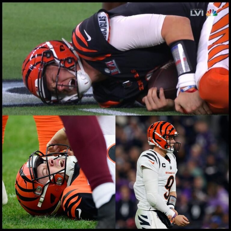 NFL Week 11 & 12 Review with Week 13 Predictions